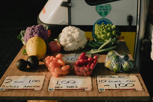 Découvrez comment sublimer vos recettes avec des graines de courge : le secret d'une cuisine savoureuse et nutritive !